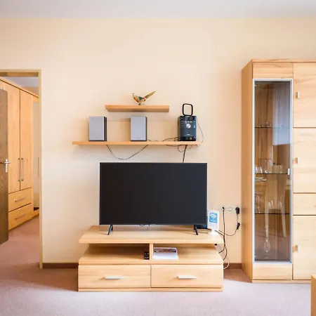 Birke - A504 By Interhome لانشتاين